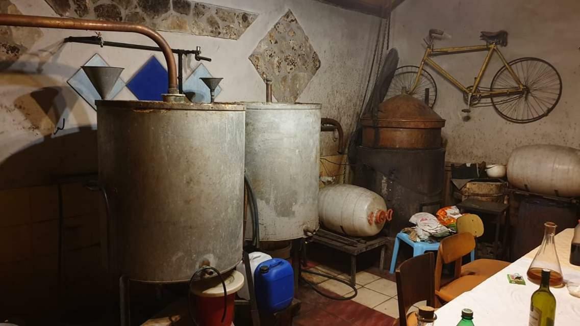 Apartman Bruna Šibenik Exteriér fotografie